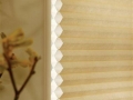 St. Tammany Portrait Honeycomb Shades