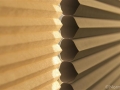 St. Tammany Portrait Honeycomb Shades