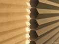 St. Tammany Portrait Honeycomb Shades