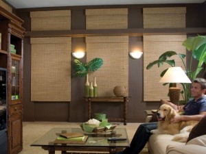 St. Tammany Woven Wood Shades