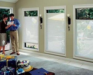 Kenner Shutters & Blinds